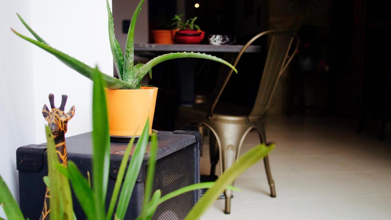 Boreal Porto Gaia - Patio & Pool บีลาโนวาเดกายา ภายนอก รูปภาพ